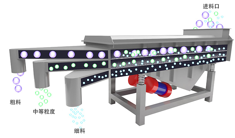 直线筛选机工作原理构造图